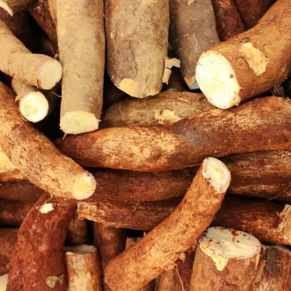 Fresh Cassava Roots (10kg)